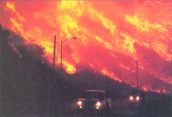 West Coast Reflections on Natural Disasters and Life's Impermanence